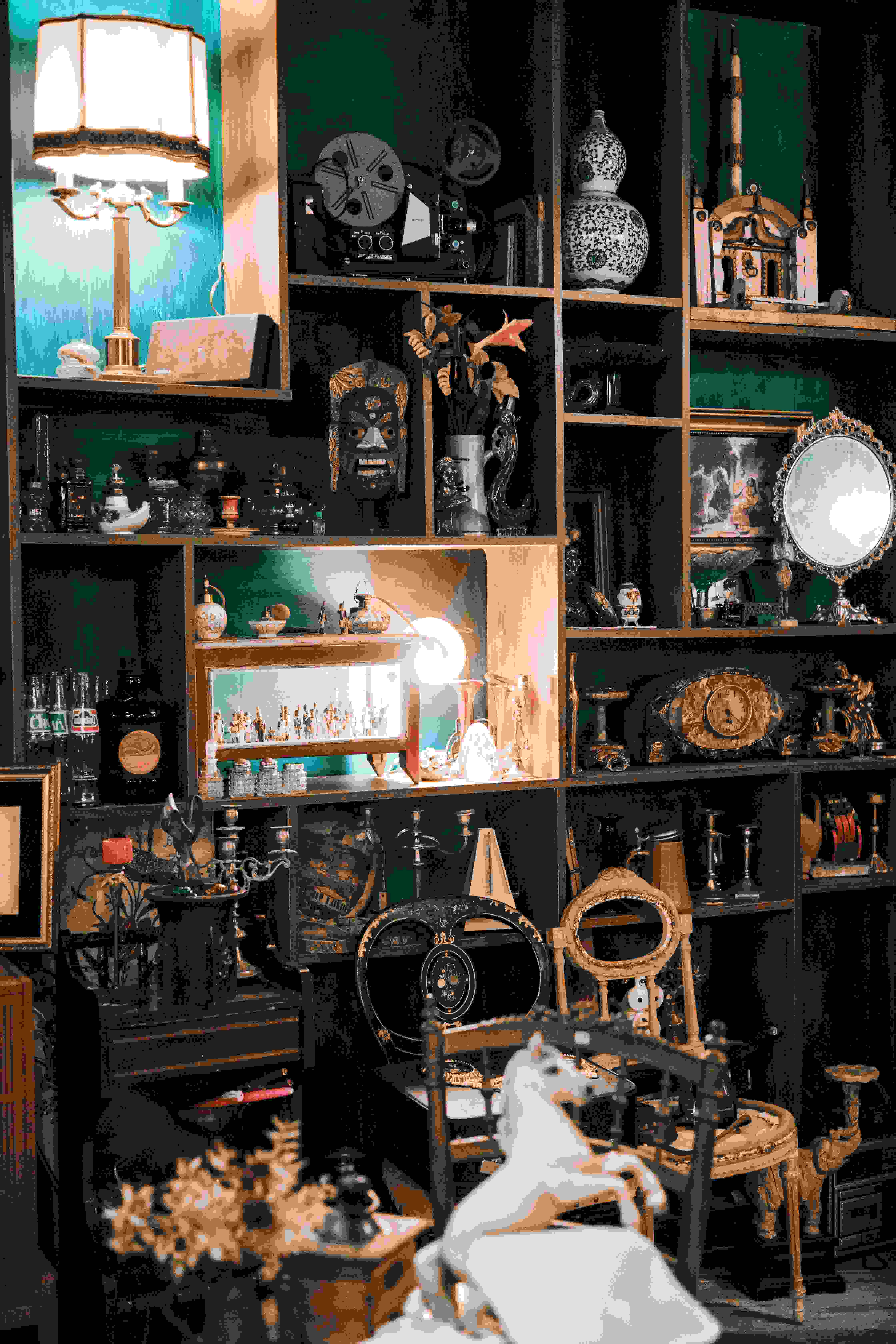 Showcase / cabinet cleaning