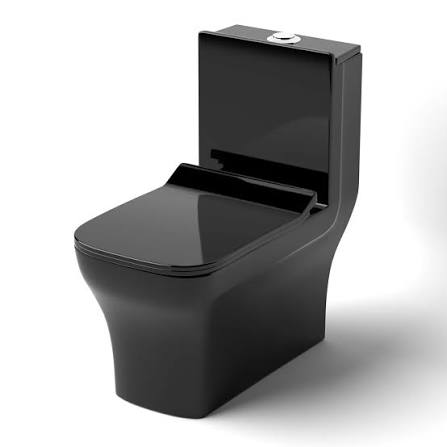 Western toilet Instalation / Replacement